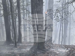 Снимка: МОСВ