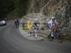 Cycling Tour de France