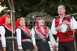 Село Селище - Илинденски събор