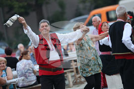 Село Селище - Илинденски събор