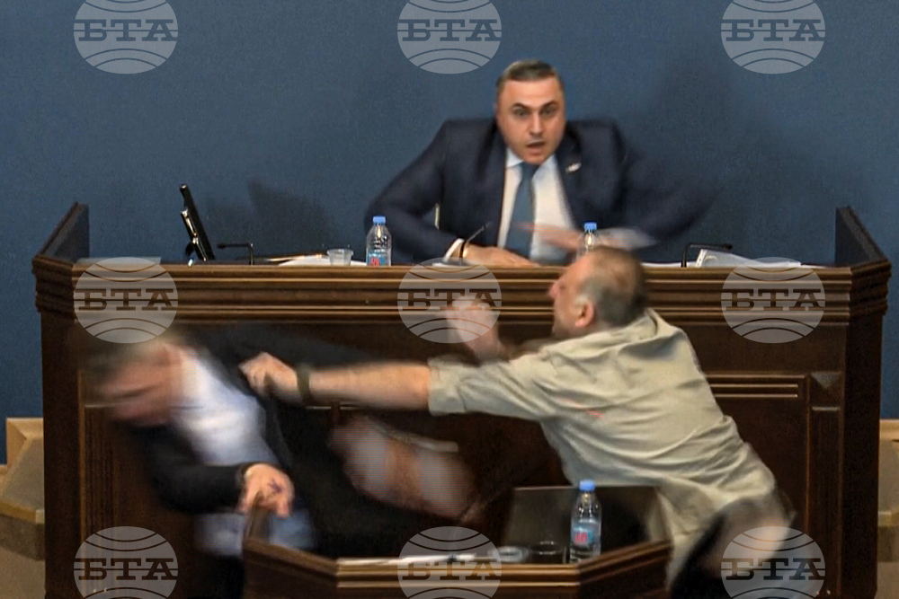В Грузия е арестуван опозиционен политик за опит за палеж на правителствена сграда
