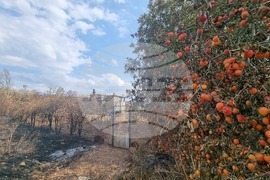 Село Воден - опожарени къщи