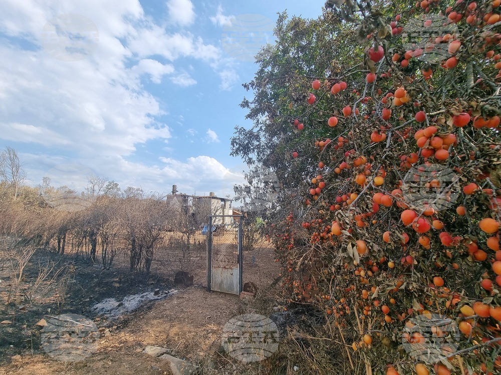 Село Воден - опожарени къщи