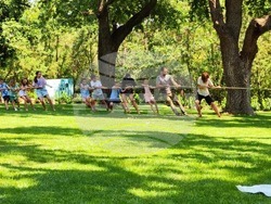 Снимка: Североизточно държавно предприятие ДП Шумен