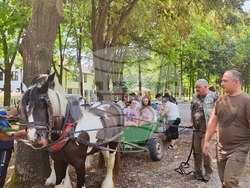 Снимка: Североизточно държавно предприятие ДП Шумен