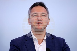 Кристиан Вигенин - брифинг