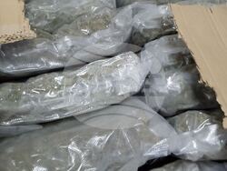 Снимка: Агенция „Митници“