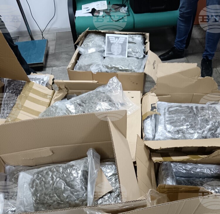 БТА :: Голямо количество марихуана в товарен автомобил откриха ...