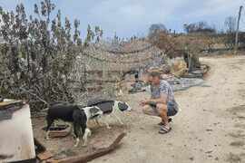 Харманли - Георги Тахов - животновъд - помощ