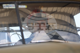 Сатовча - доброволно формирование - пожари