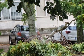 Бургас - буря - щети