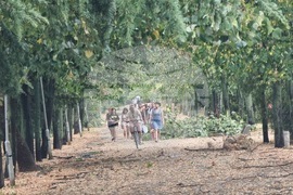 Бургас - буря - щети