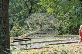 Бургас - буря - щети