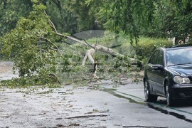Бургас - буря - щети