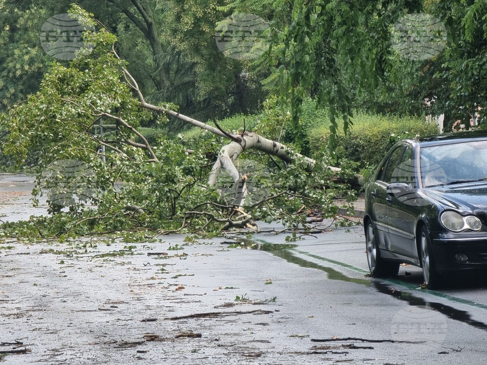 Бургас - буря - щети