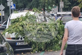 Бургас - буря - щети