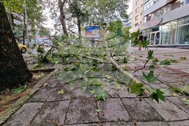 Бургас - буря - щети