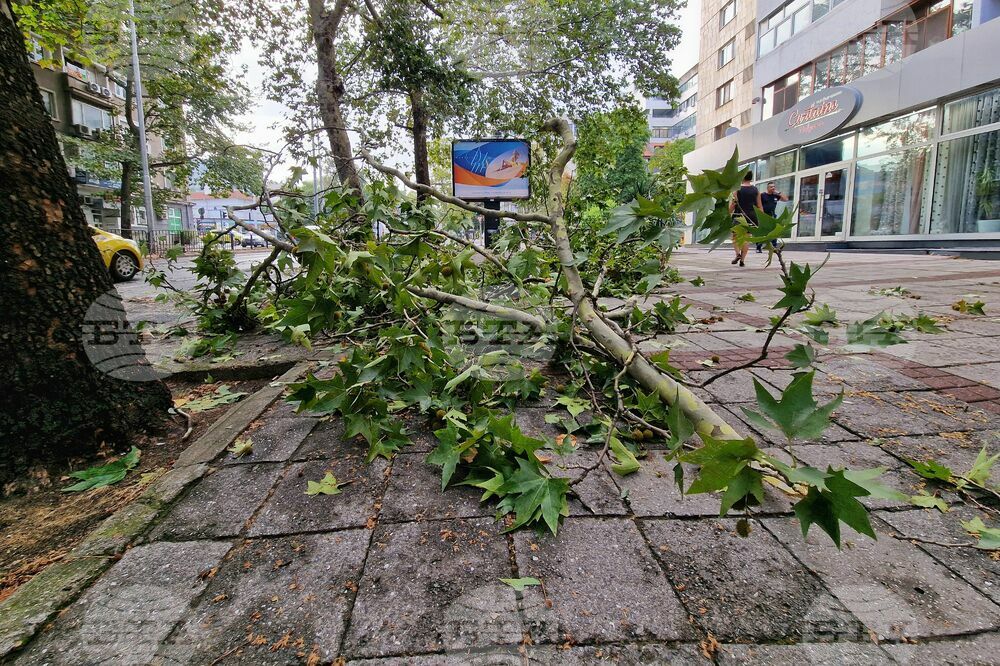 Бургас - буря - щети