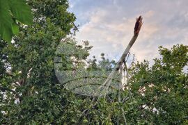 Бургас - буря - щети