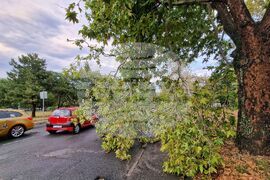 Бургас - буря - щети