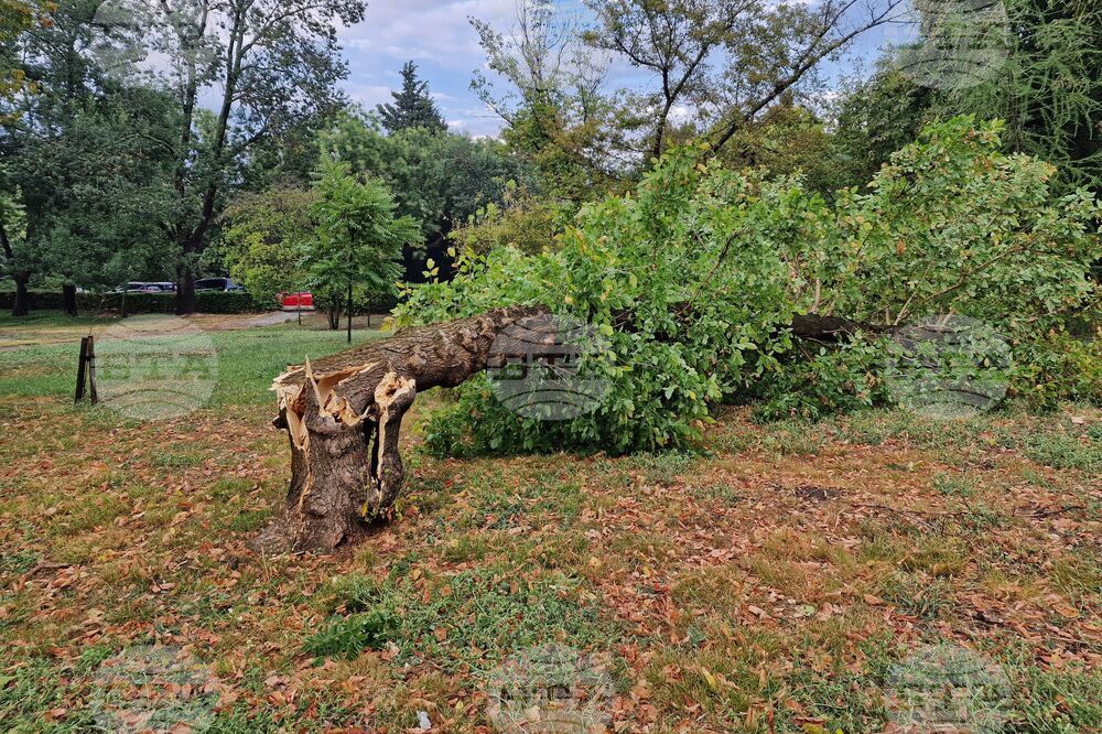 Бургас - буря - щети