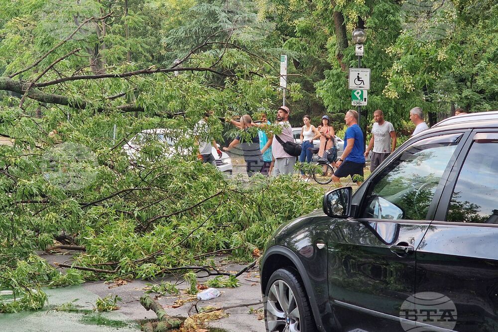 Бургас - буря - щети