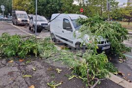 Бургас - буря - щети