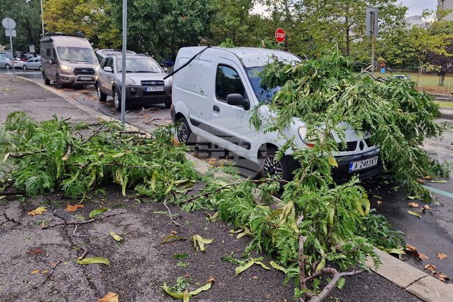 Бургас - буря - щети