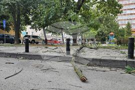 Русе - вятър - щети