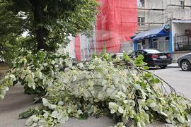 Русе - вятър - щети