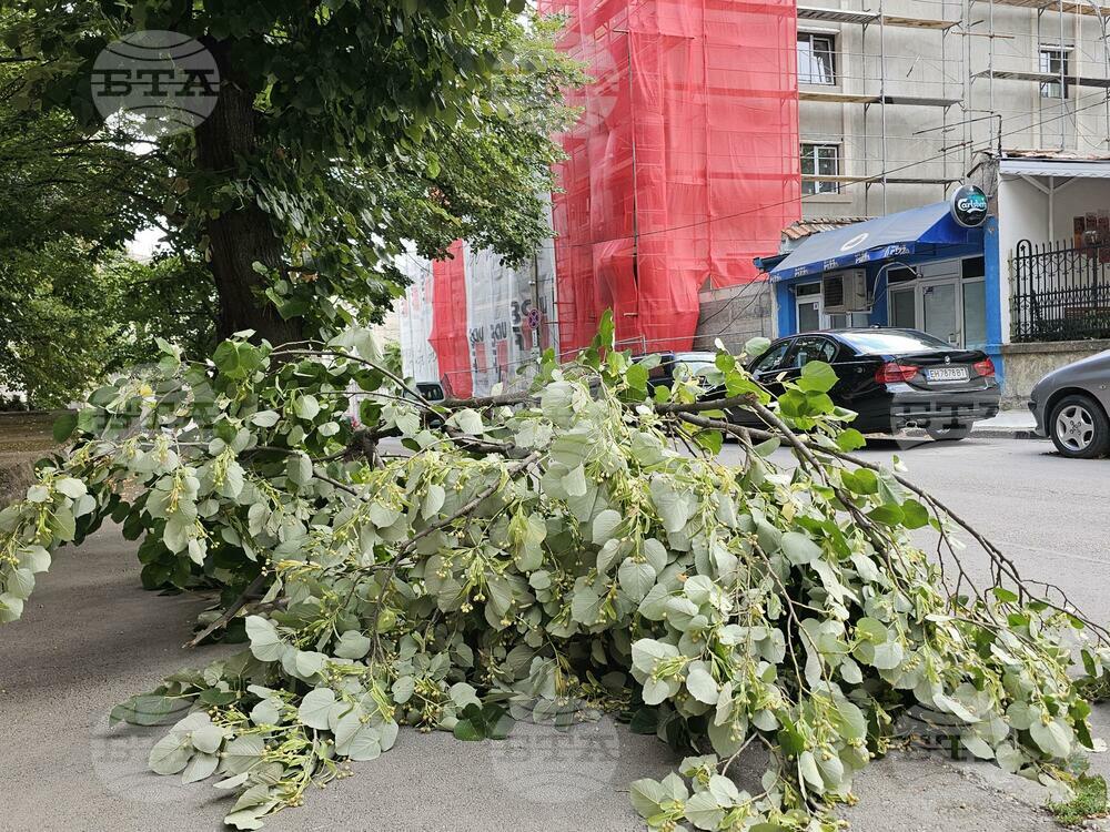 Русе - вятър - щети