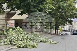 Русе - вятър - щети