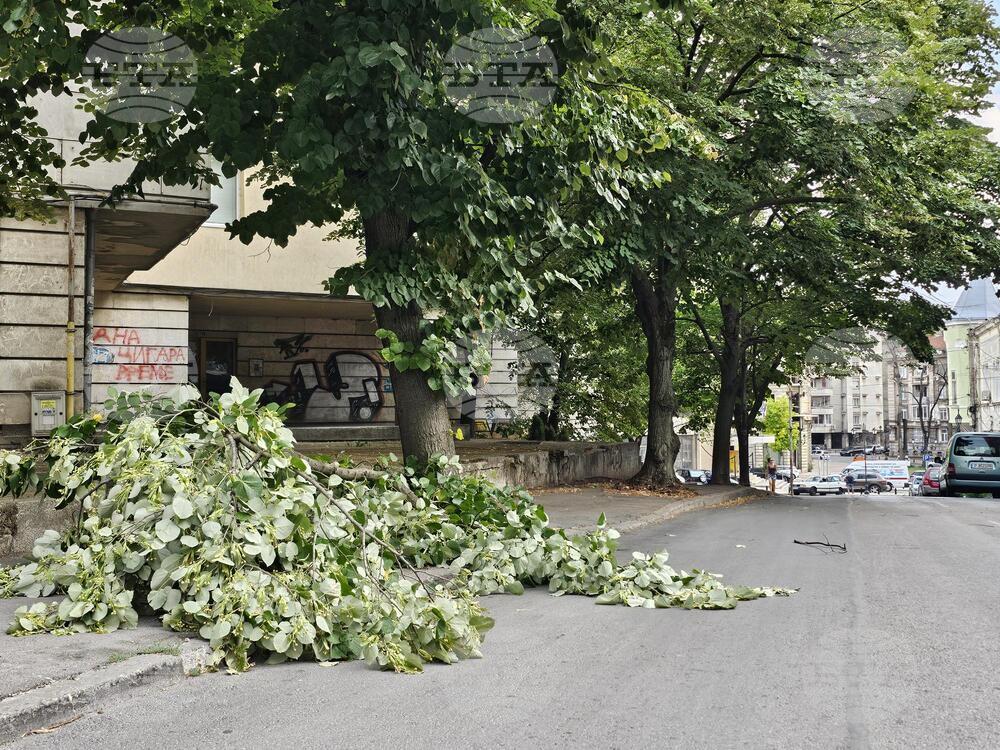 Русе - вятър - щети