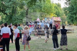 Видин - "Дунавски вълни" - фестивал - откриване