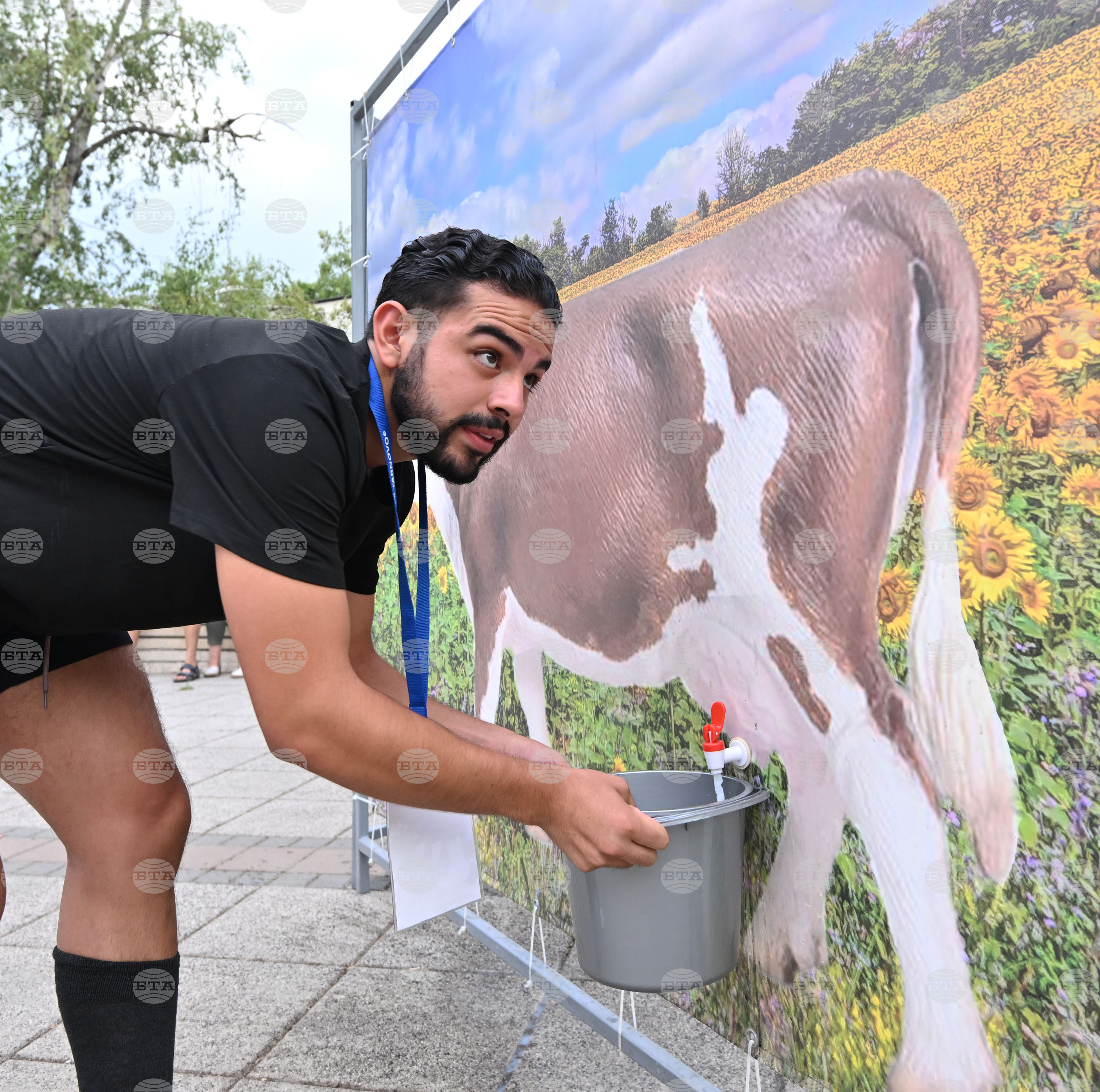 Разград - забавно състезание