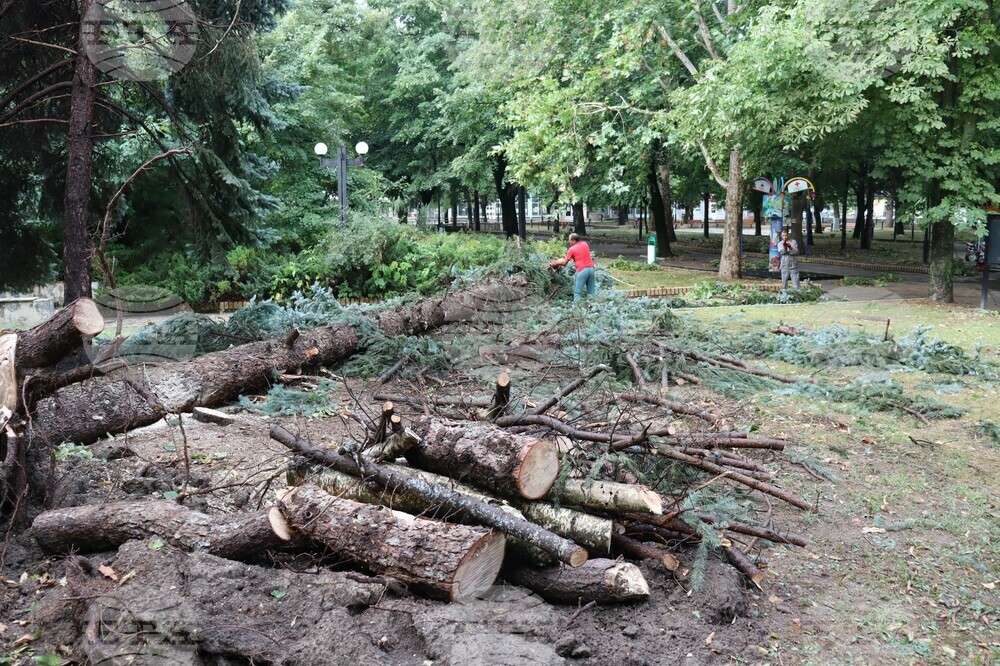 В Нови пазар се разчиства след бурята в града снощи