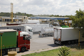 Русе - ГКПП „Дунав мост” - трафик