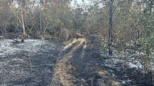 Областна администрация Русе: Драгомир Драганов свиква среща поради повишената опасност от пожари в Русенско, над 90 дка. сухи треви и храсти изгоряха за последните два дни в Гюргевско