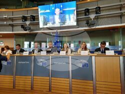 Снимка: Пресофис Цветелина Пенкова – евродепутат