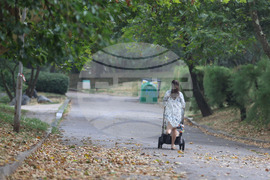 Ежедневие  - дъжд