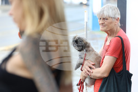 Ежедневие  - дъжд