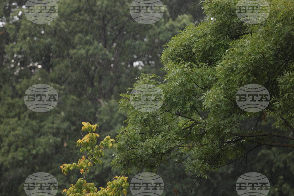 Ежедневие  - дъжд