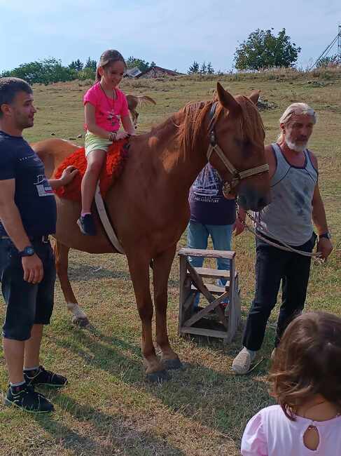 Конюшня в Гагово дава възможност на деца със специални потребности да подобрят състоянието си чрез хипотерапия