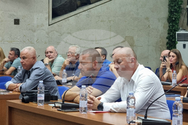 Благоевград - среща - пожари