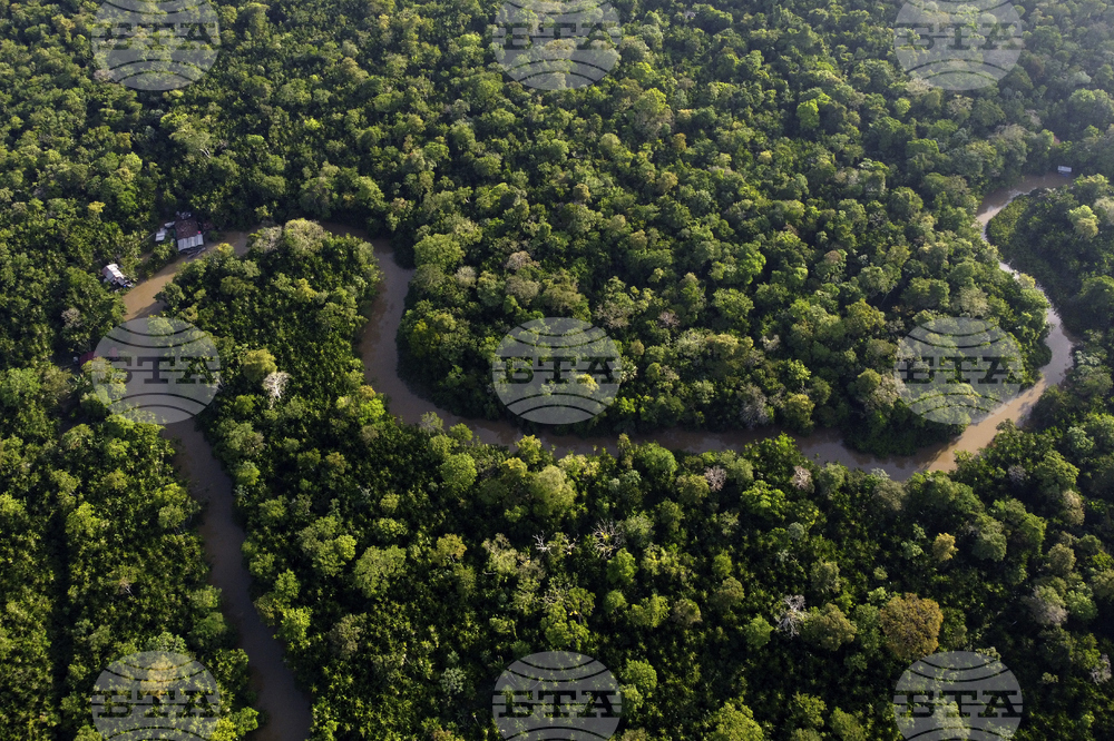 Амазония е по-устойчива, отколкото се смяташе досега, сочи проучване