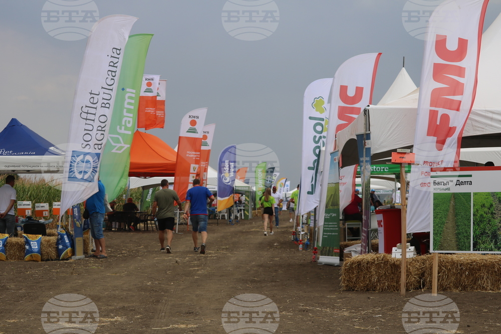 Добрич - "Ден на полето"