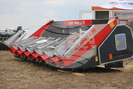 Добрич - "Ден на полето"