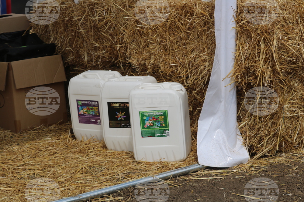 Добрич - "Ден на полето"