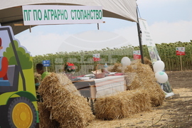 Добрич - "Ден на полето"