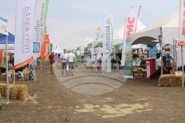 Добрич - "Ден на полето"